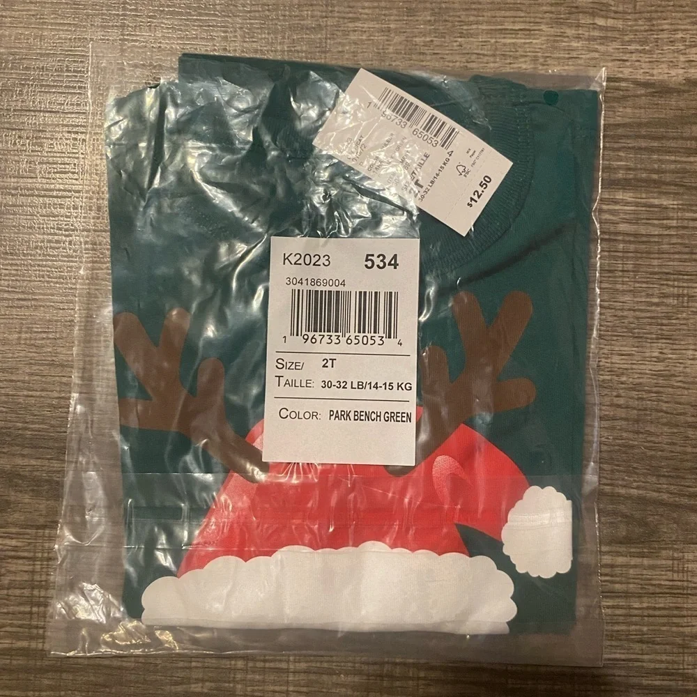 NEW - The Children’s Place Unisex Santa's Helper Graphic Tee -Park Bench Green